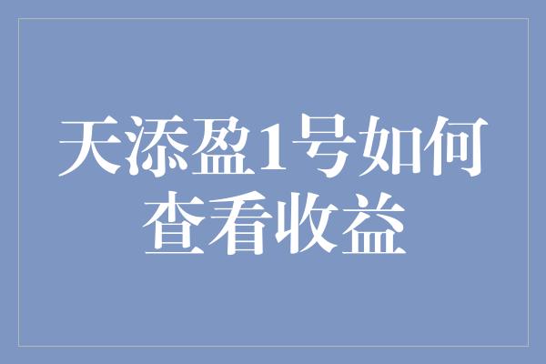 天添盈1号如何查看收益