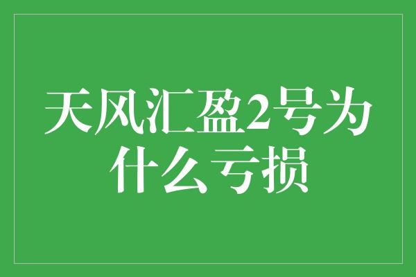 天风汇盈2号为什么亏损