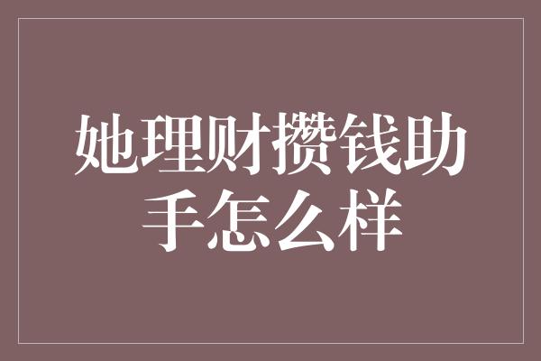 她理财攒钱助手怎么样