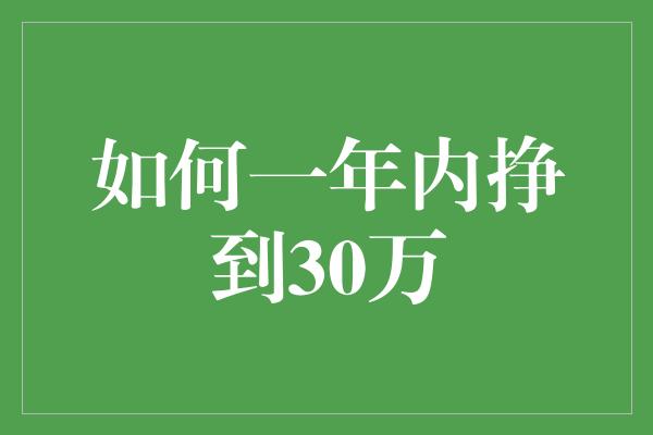 如何一年内挣到30万