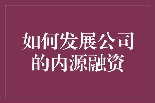 如何发展公司的内源融资