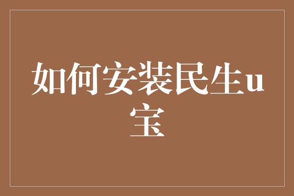 如何安装民生u宝