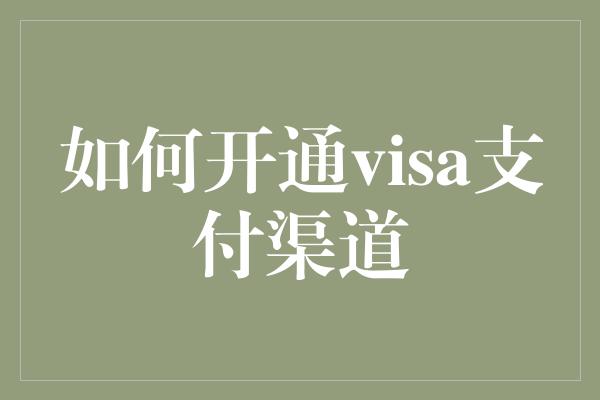 如何开通visa支付渠道