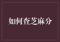 探索芝麻分：解锁个人信用的神秘面纱