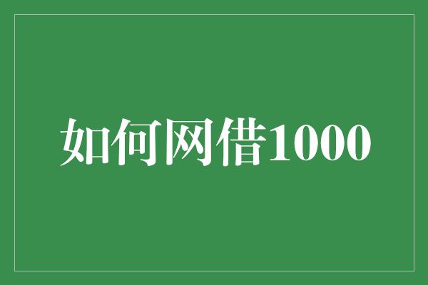 如何网借1000