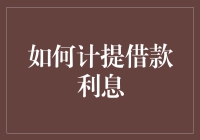 专业视角下的借款利息计提策略探讨：理论与实践结合