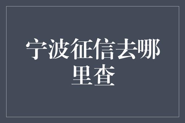 宁波征信去哪里查