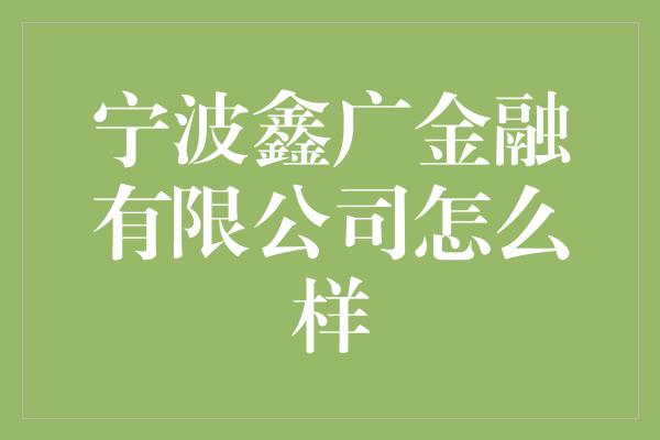 宁波鑫广金融有限公司怎么样