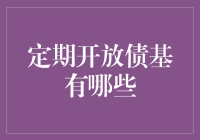 财富守护者：定期开放债基的多元化投资策略