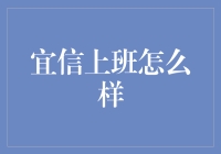 宜信公司日常：我从金融小白到理财专家的神奇转变