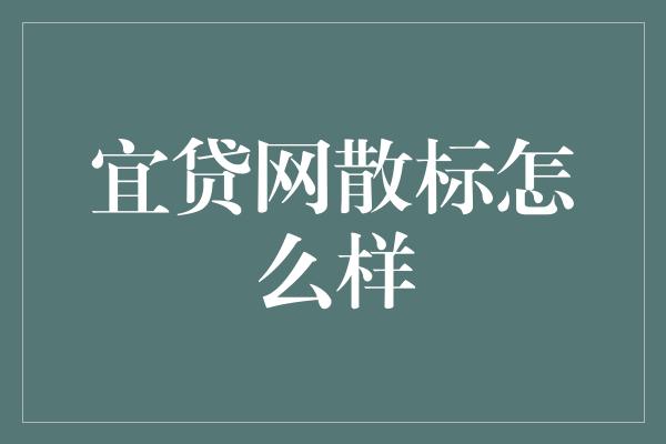 宜贷网散标怎么样