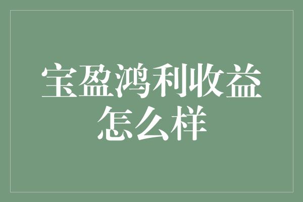 宝盈鸿利收益怎么样