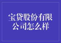 宝贷股份有限公司：金融科技行业的稳健领跑者