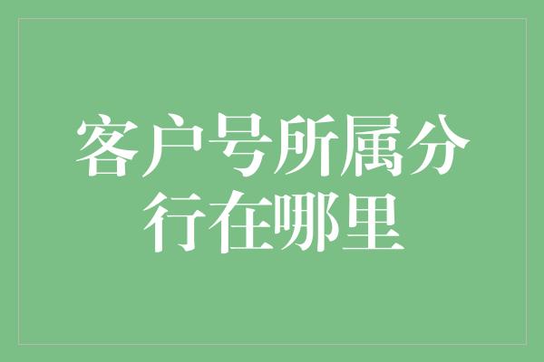 客户号所属分行在哪里