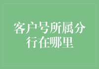 客户号码所属分行查询攻略：从智能查询到人工核实