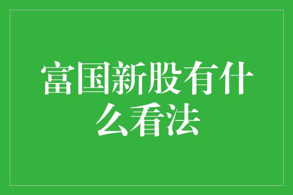 富国新股有什么看法