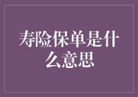 寿险保单：生命的守护者，家庭的经济保障