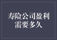 寿险公司盈利周期分析与策略优化