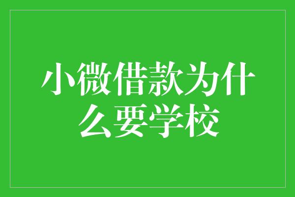 小微借款为什么要学校