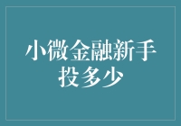 小微金融新手投资策略：适度参与，稳健起步