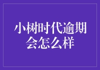 小树时代逾期还款：后果与影响分析