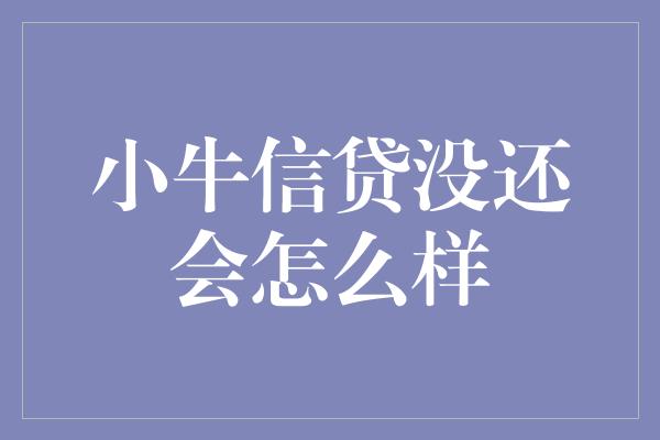 小牛信贷没还会怎么样