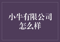 小牛有限公司：从一头小牛的奋斗史到办公室最佳拍档