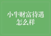 小牛财富待遇怎么样？让我们来揭开神秘面纱！