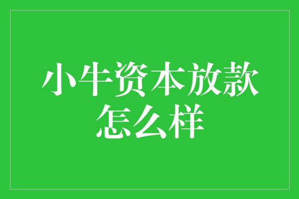 小牛资本放款怎么样