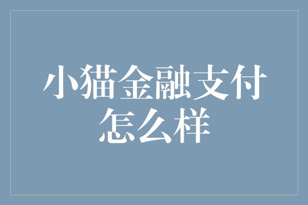 小猫金融支付怎么样