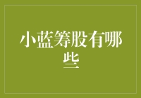 小蓝筹股的价值投资之道：探寻中国资本市场的小明珠