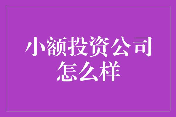 小额投资公司怎么样