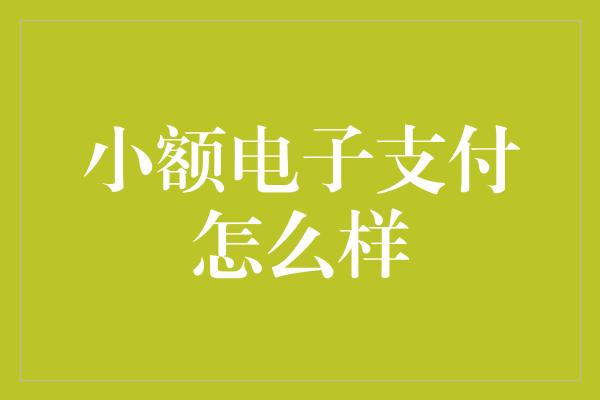 小额电子支付怎么样