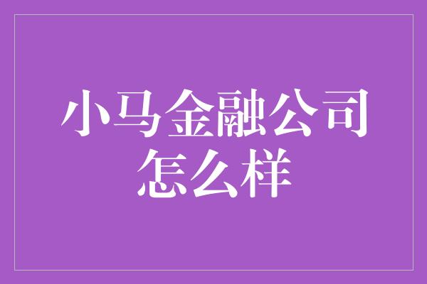 小马金融公司怎么样