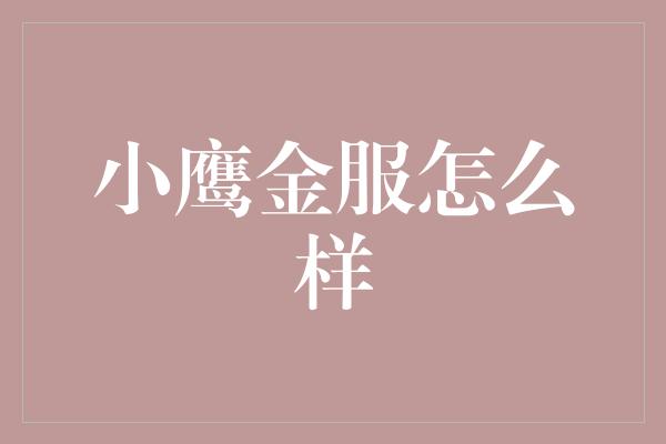 小鹰金服怎么样