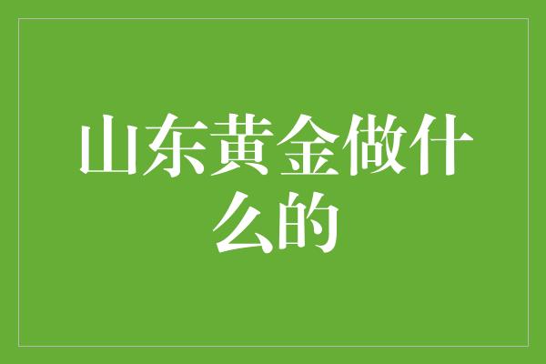 山东黄金做什么的