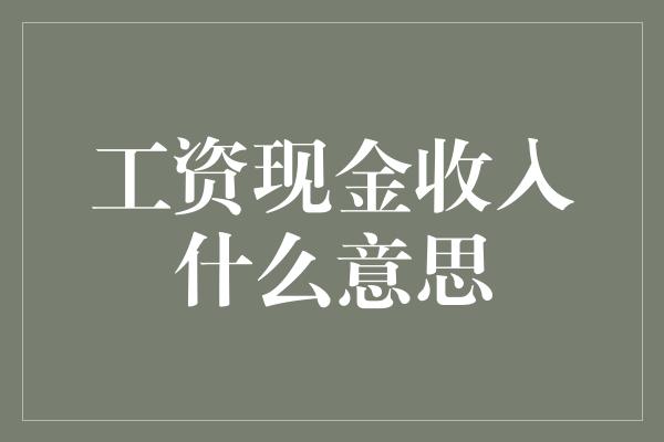 工资现金收入什么意思