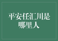 平安任汇川：从四川盆地到金融江湖的传奇故事