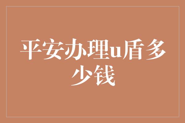 平安办理u盾多少钱