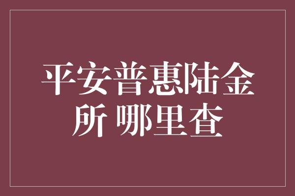 平安普惠陆金所 哪里查