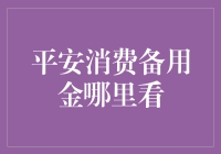 如何查询平安消费备用金？全面指南