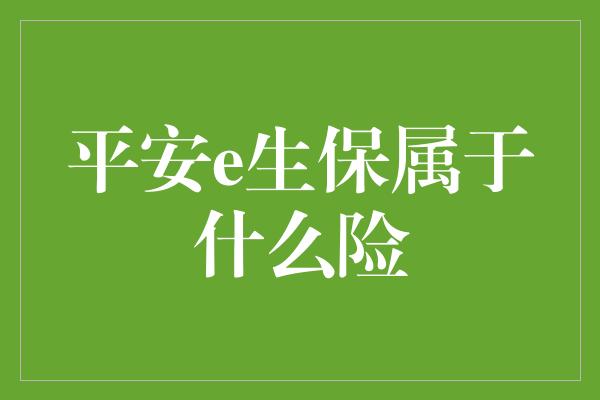 平安e生保属于什么险