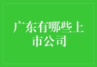 广东的上市公司：从荔枝大王到科技巨头的华丽逆袭