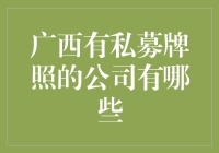 广西私募牌照企业深度解析：多元化投资版图初现