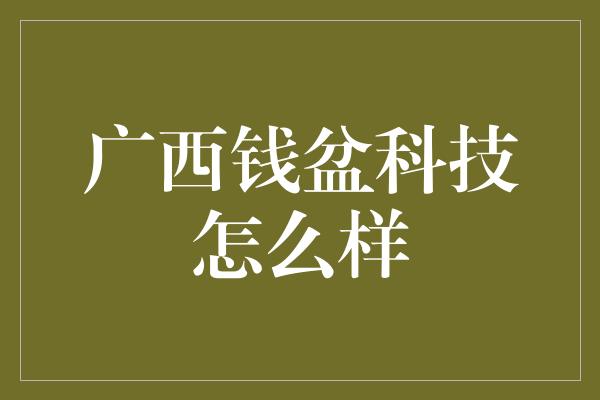 广西钱盆科技怎么样