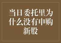 为何我的当日委托中没有申购新股的选项？