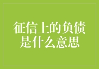 征信上的负债：解读信用记录中的财务足迹