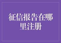 国内外征信报告注册解读：个人信息保护与信用维护