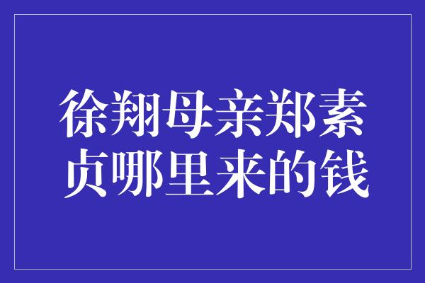 徐翔母亲郑素贞哪里来的钱