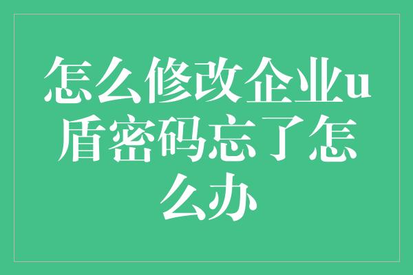 怎么修改企业u盾密码忘了怎么办